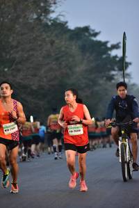 BIB: 21083, 25350
                            <button type="button" onclick="openModal(10121803)" class="btn btn-primary btn-sm float-right btn-popup" data-toggle="modal" data-target=".modal-high-quality">
                        <i class="fas fa-shopping-cart"></i> Add to Cart
                    </button>
                                            <button type="button" onclick="isThisMe(10121803, true)" class="btn btn-success btn-sm float-right btn-popup btn-isme hidden" data-toggle="tooltip" data-placement="bottom" title="นี่คือรูปของคุณใช่ไหม คลิกที่นี่เพื่อเอาเข้าอัลบั้ม">
                        <i class="fas fa-plus"></i> Add to album
                    </button>
                    <button type="button" onclick="isThisMe(10121803, false)" class="btn btn-warning btn-sm float-right btn-popup btn-isnotme hidden">
                        <i class="fas fa-ban"></i> Remove from album
                    </button>